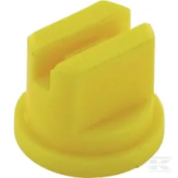 Buse jaune Solo