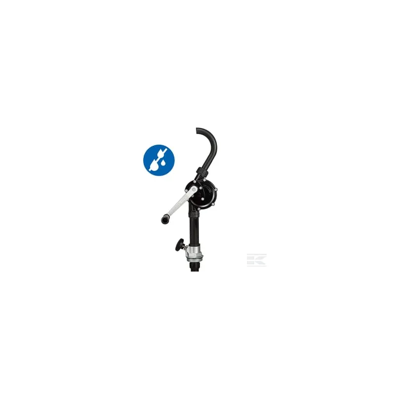 Pompe rotative