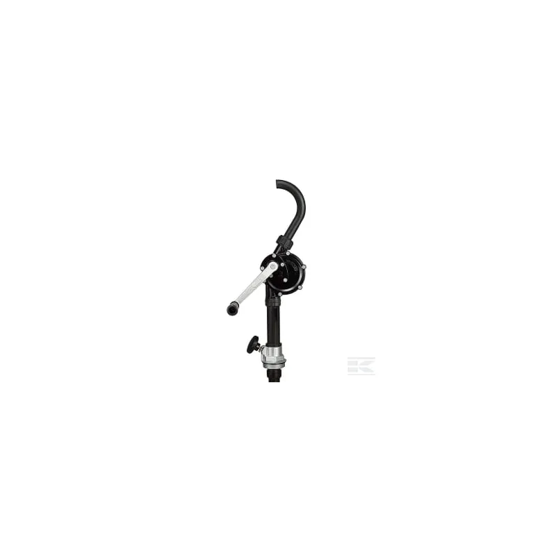 Pompe rotative