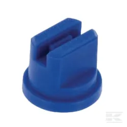 Buse bleu Solo