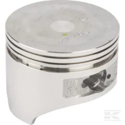 Piston Std.