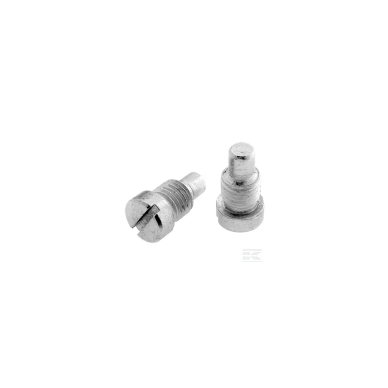 Jeu de 2 ergots de rechange
