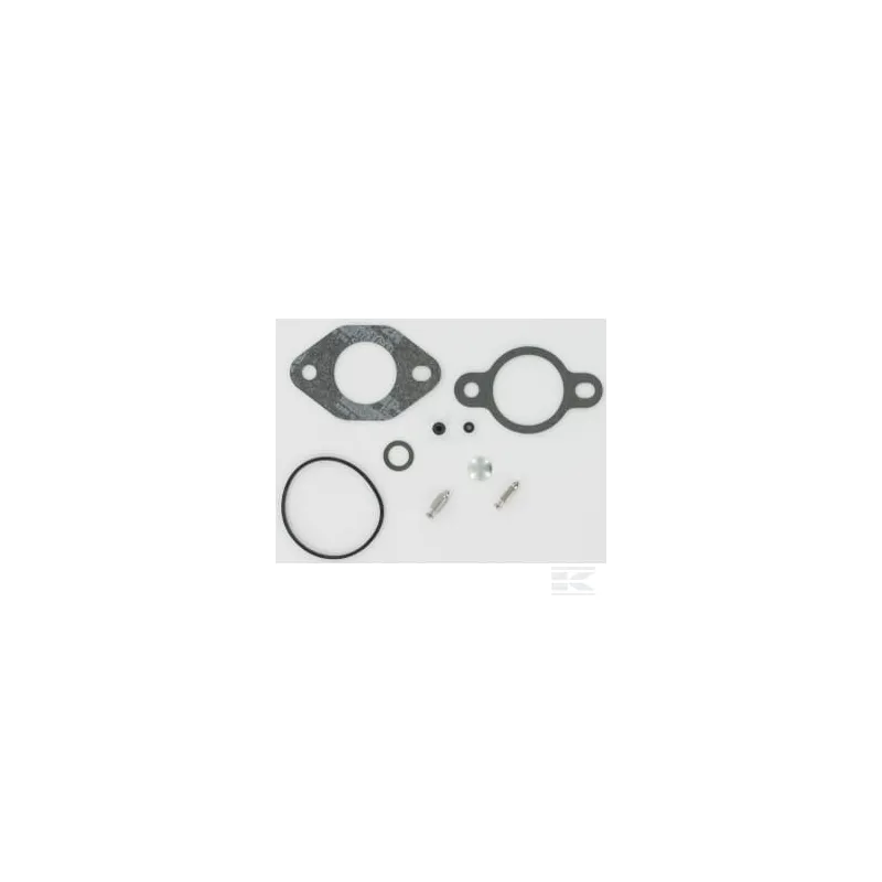 Carburateur kit