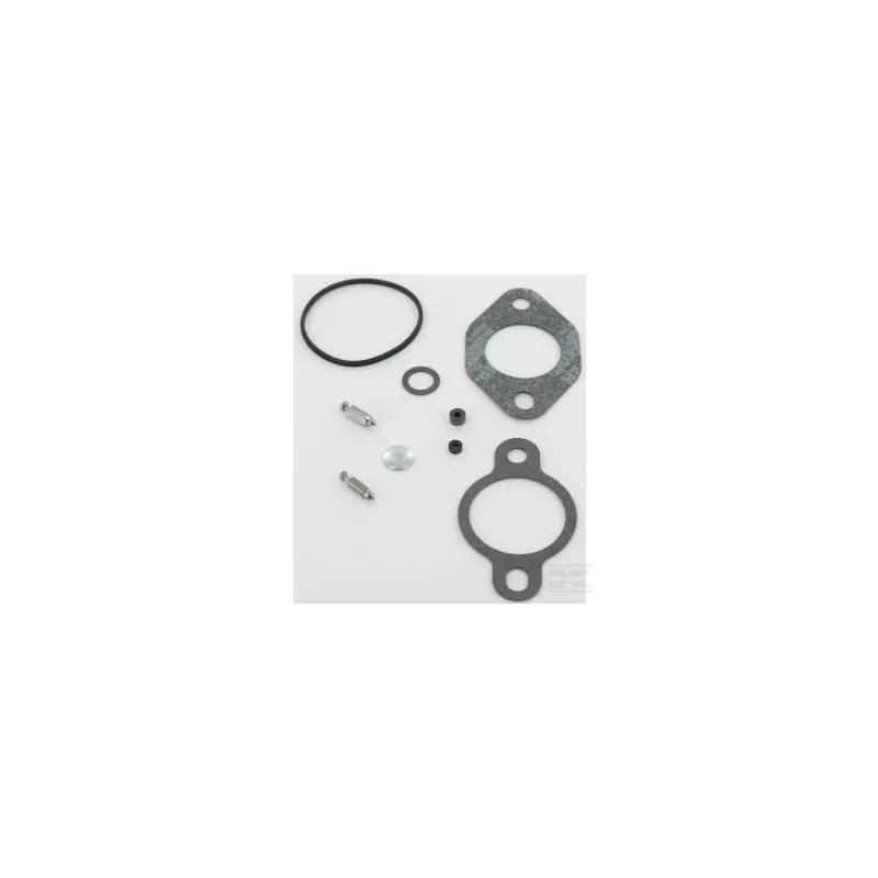 Carburateur kit