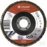 Disque lam. céramiq 125mm K60