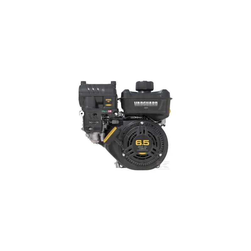 Moteur horizontal, 6,4 HP, monocylindre, série Vanguard, Briggs & Stratton