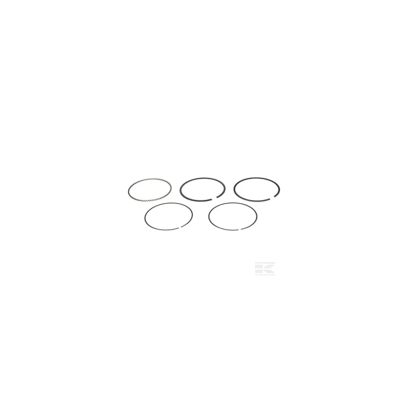 Jeu de segments, piston (0.25)
