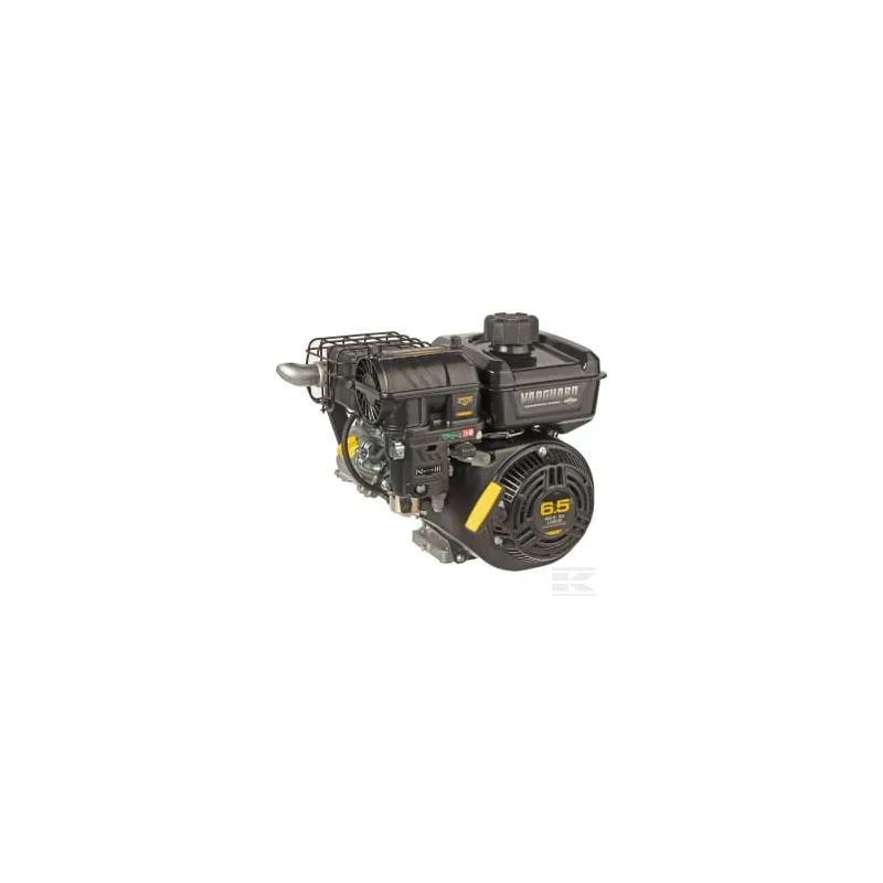 Moteur horizontal, 6,4 HP, monocylindre, série Vanguard, Briggs & Stratton
