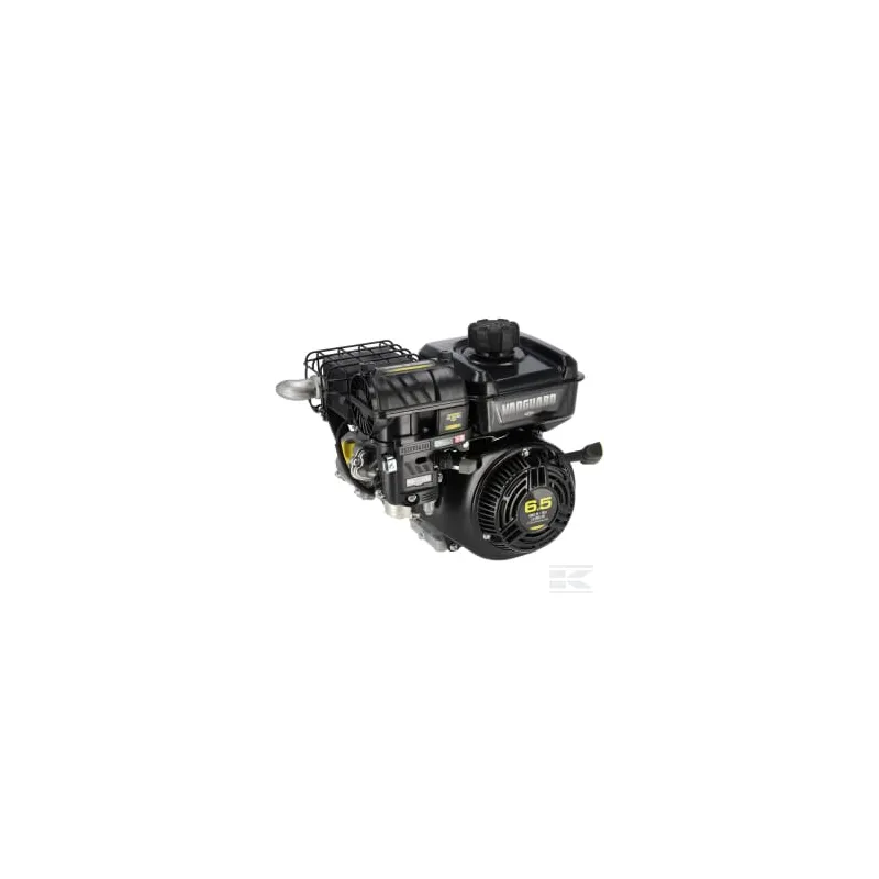 Moteur, horizontal, 6,5 HP, Vanguard, Briggs & Stratton