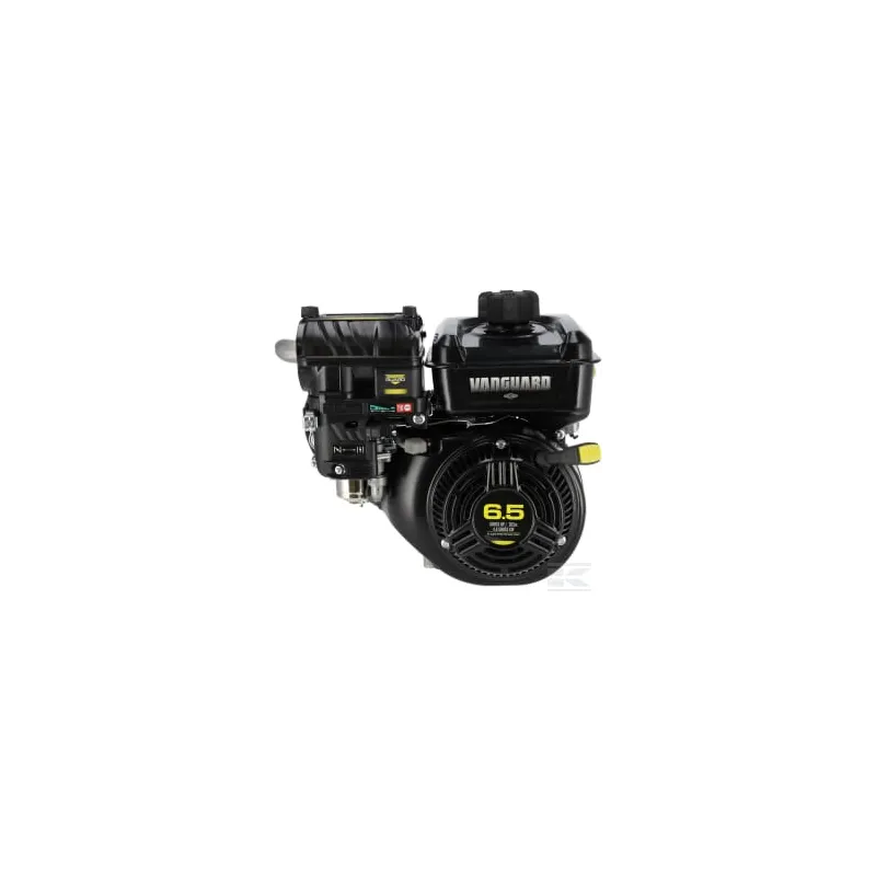 Moteur, horizontal, 6,5 HP, Vanguard, Briggs & Stratton