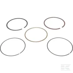 Jeu de segments, piston Std.