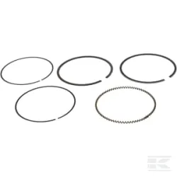 Jeu de segments, Standard