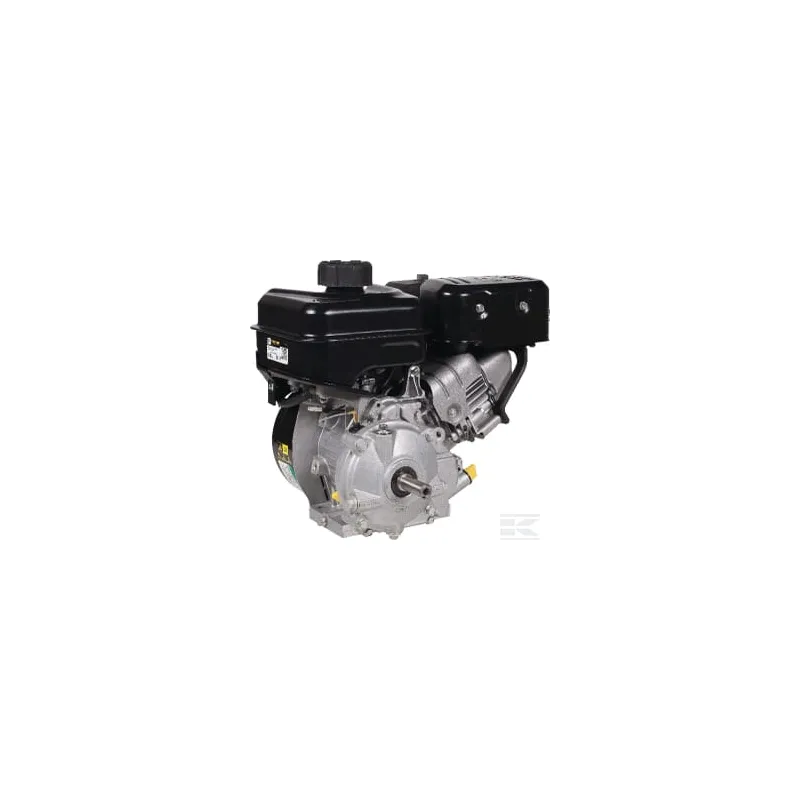 Moteur horizontal, 6,4 HP, 19,05 x 62 mm, clavette 6:1 monocylindre, série Vanguard, Briggs & Stratton