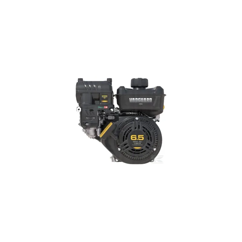 Moteur horizontal, 6,4 HP, monocylindre, série Vanguard, Briggs & Stratton