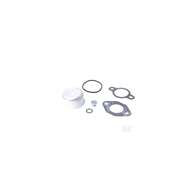 Kit de réparation de cuve carburateur