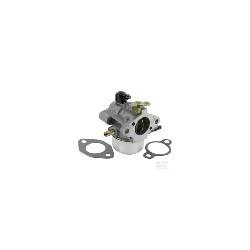 Carburateur incl. Joint