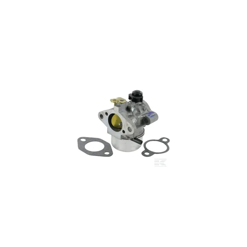Carburateur incl. Joint