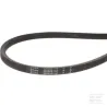 Courroie 17x 1400 B55