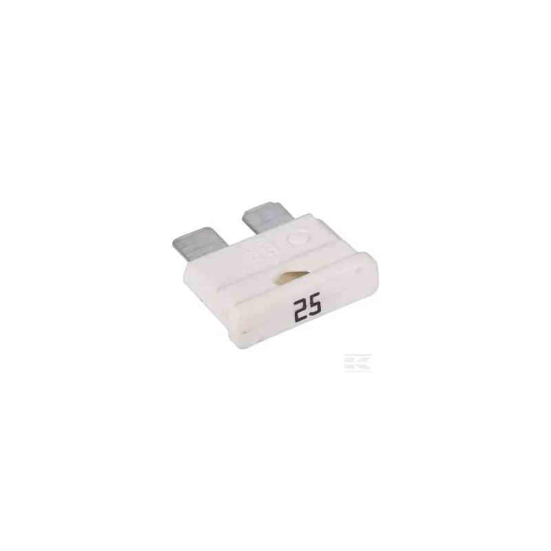 Fusible 25 Amp