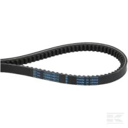 Courroie de transmission AX31