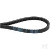 Courroie de transmission AX31