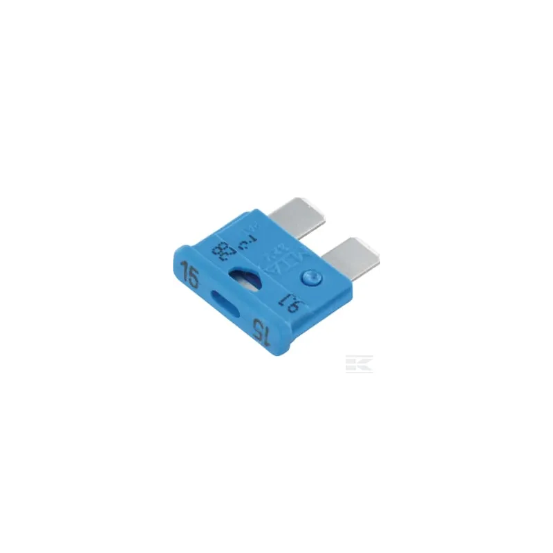 Fusible 15 Amp