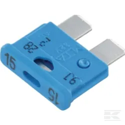 Fusible 15 Amp