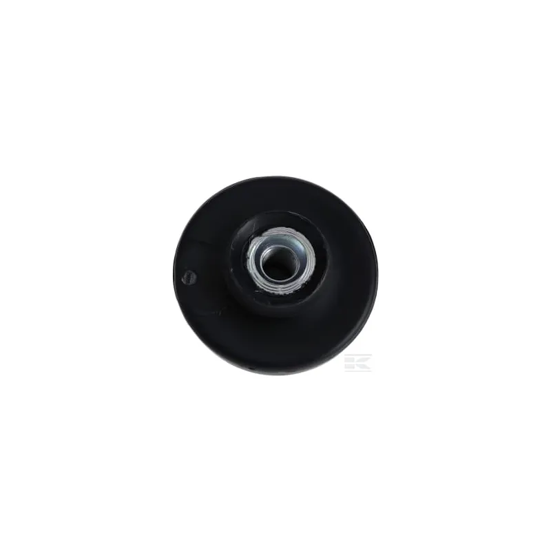 Bouton de filtre à air