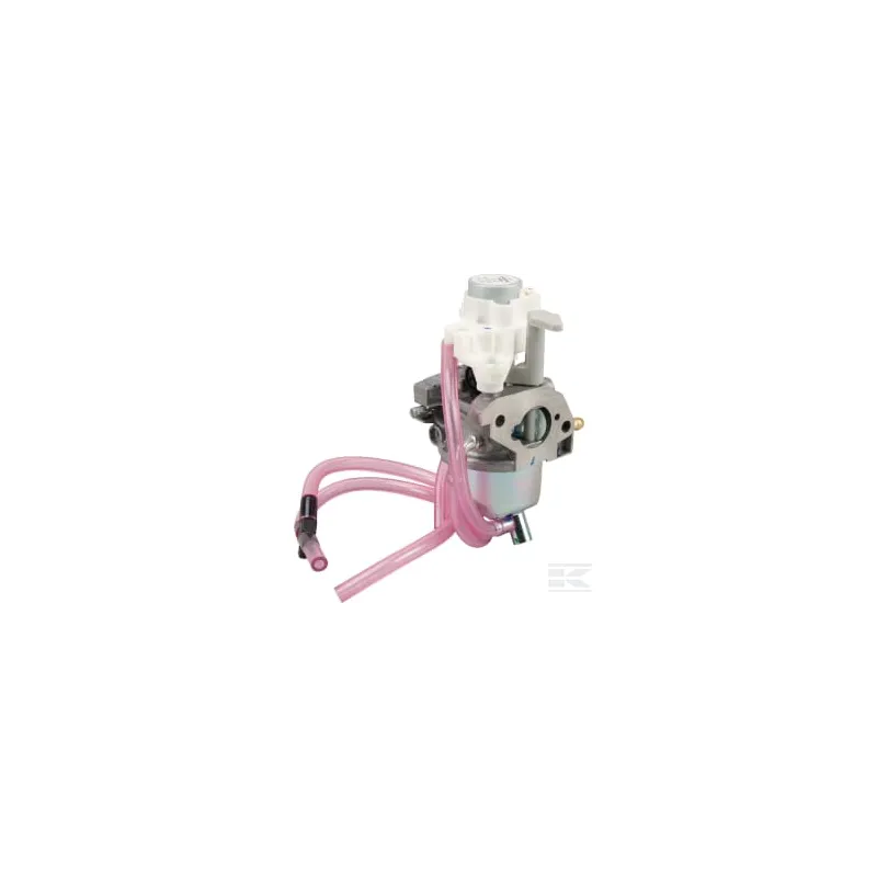 Ensemble carburateur Bf30E D