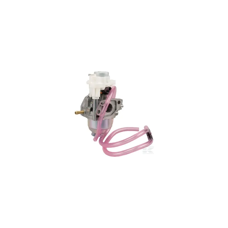 Ensemble carburateur Bf30E D