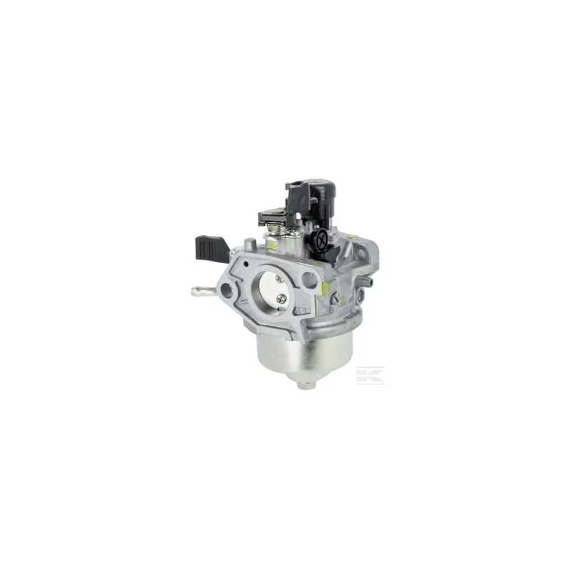 Ensemble carburateur (BE81R A)