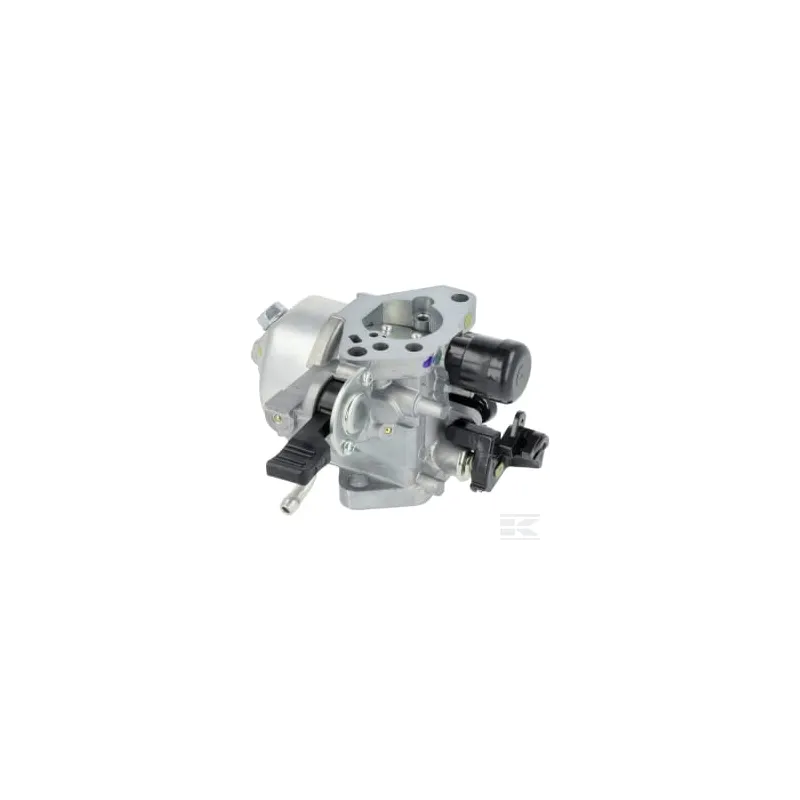Ensemble carburateur (BE81R A)