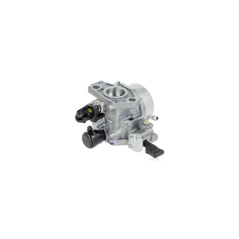 Ensemble carburateur (BE81R A)