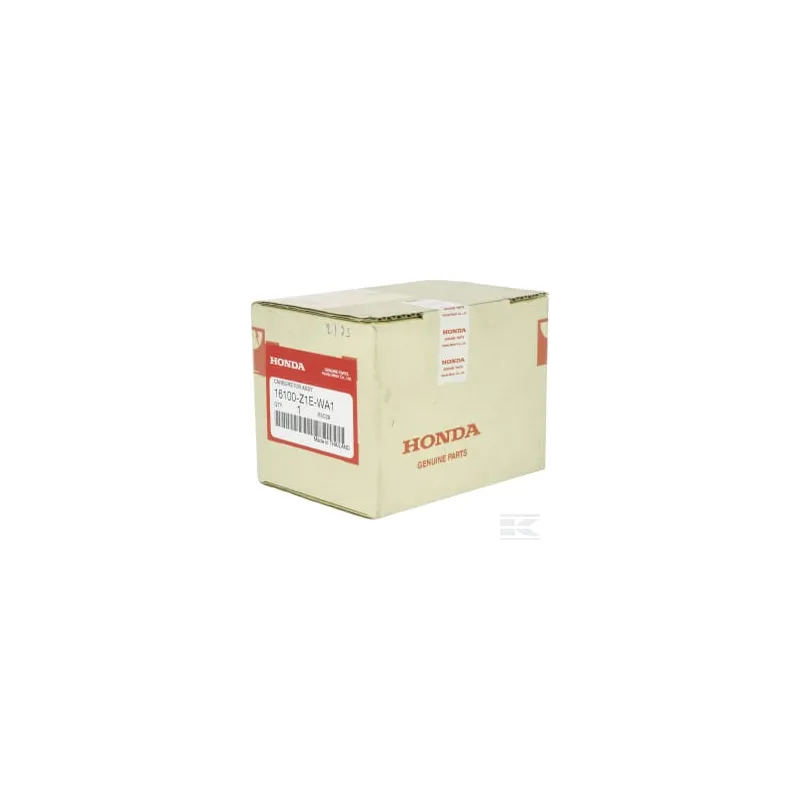 Ensemble carburateur (BE81R A)