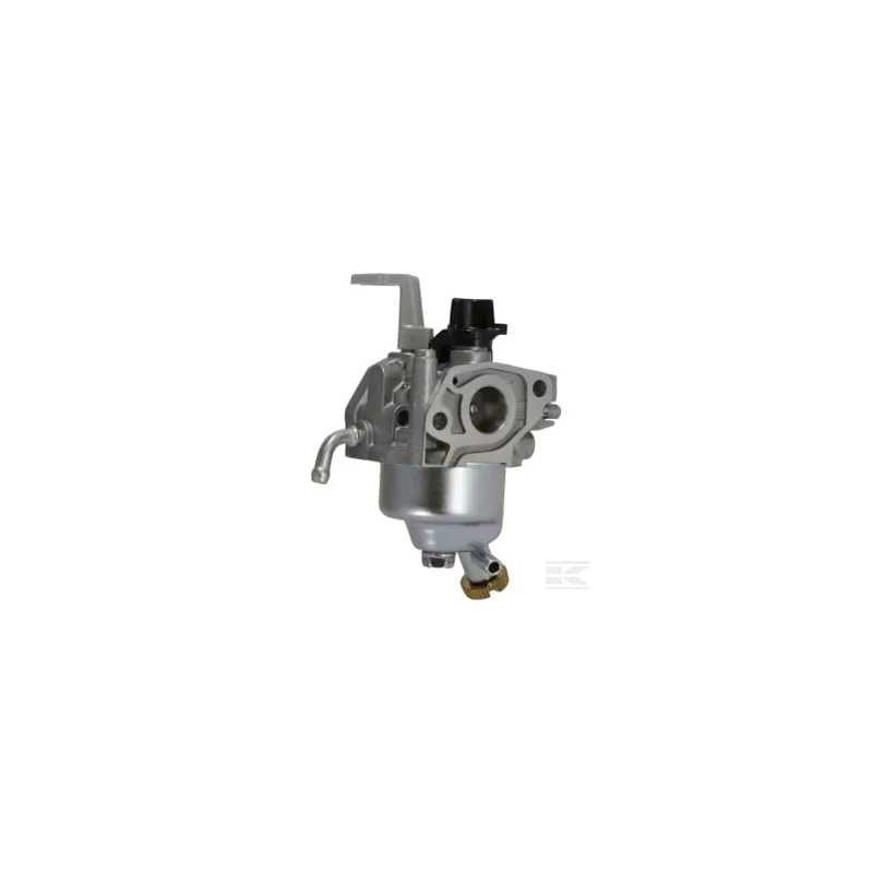 Carburateur (Bf31C B)
