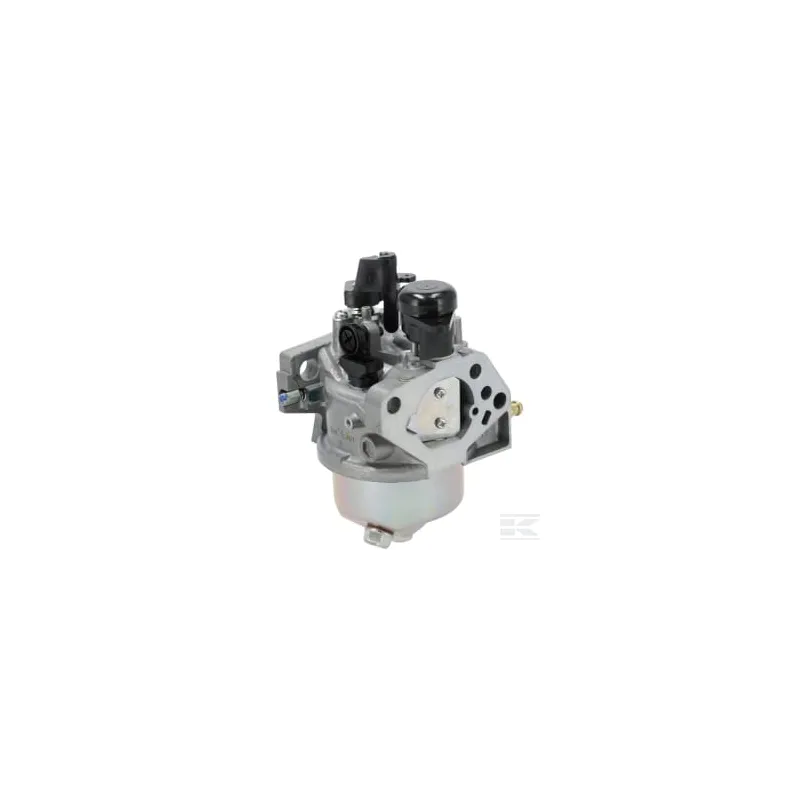Ensemble carburateur (BE98B B)