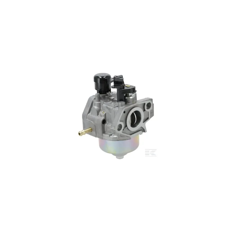 Ensemble carburateur (BE98B B)
