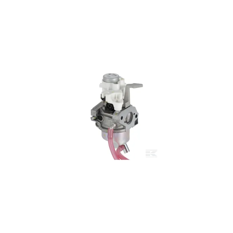Carburateur (Bf30H A)
