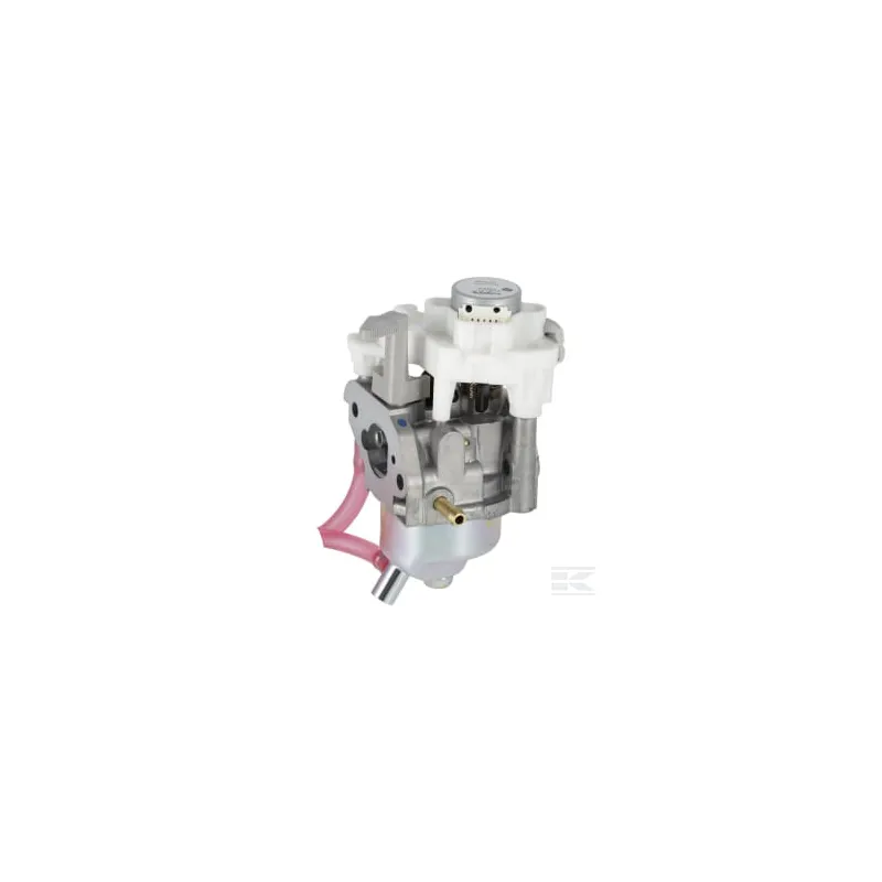 Carburateur (Bf30H A)