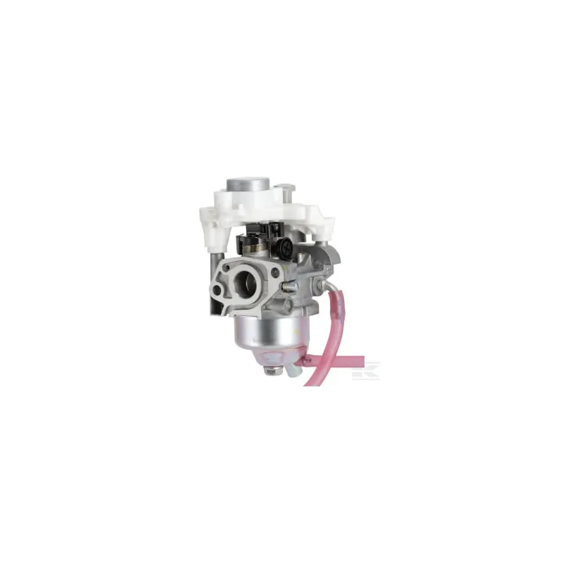 Carburateur (Bf30H A)