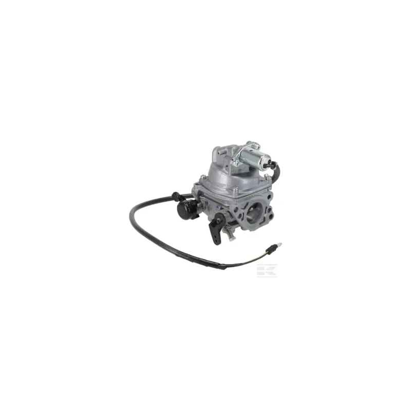 Carburateur (Bg22A C)