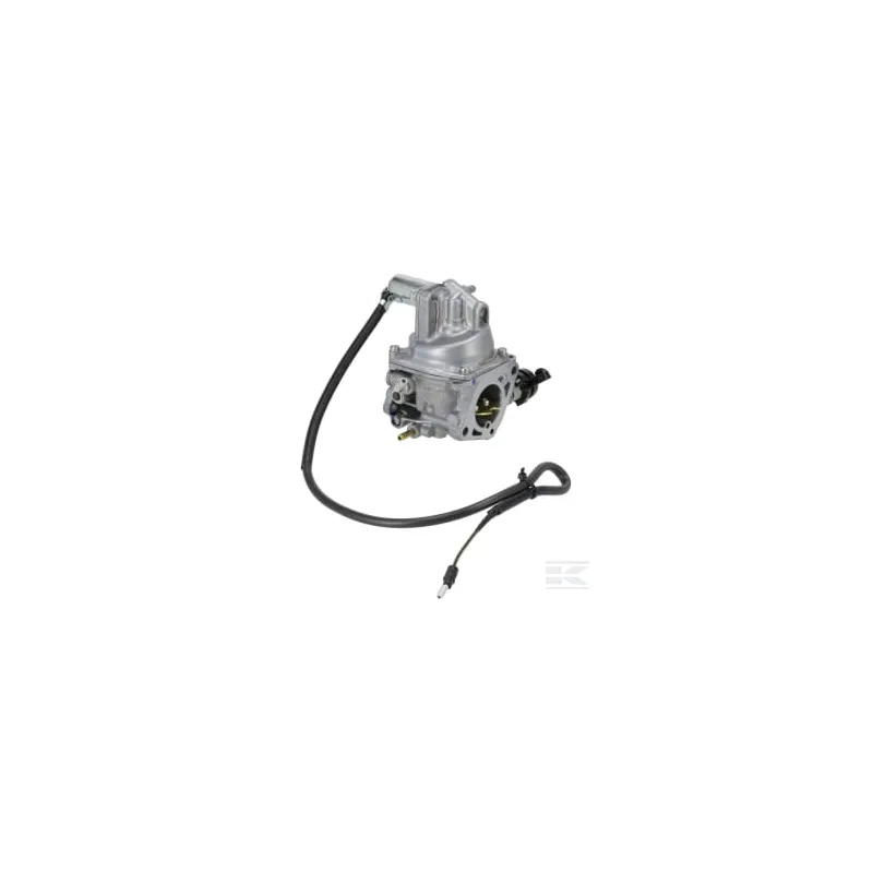 Carburateur (Bg22A C)