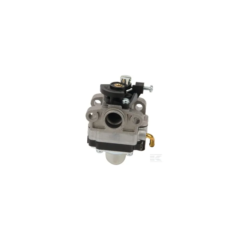 Carburateur WYL96