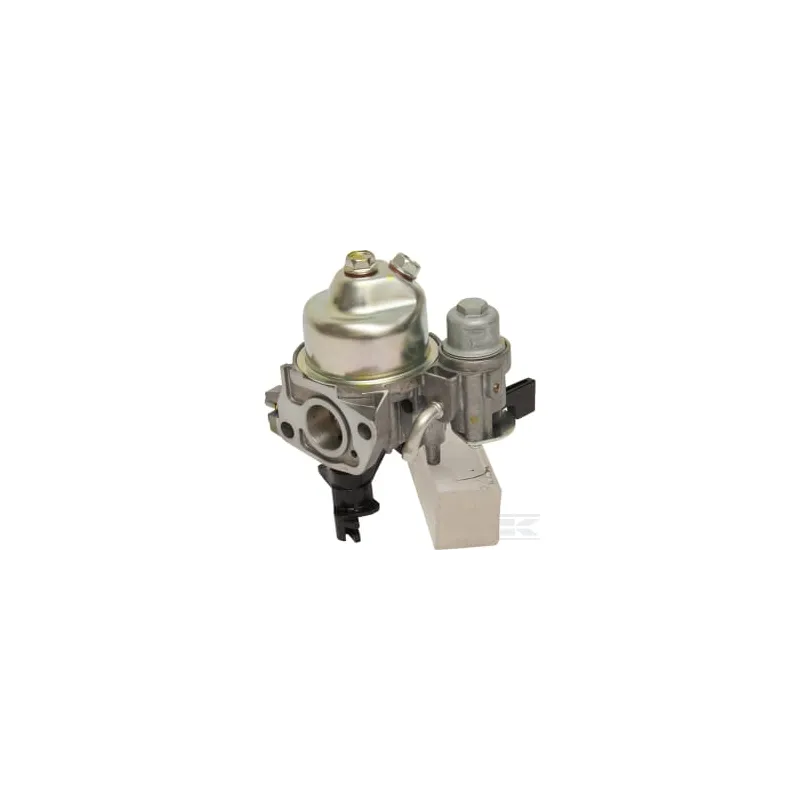 Ensemble de carburateur (Be65R A)