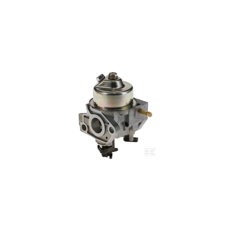 Ensemble de carburateur (Be77Z A)