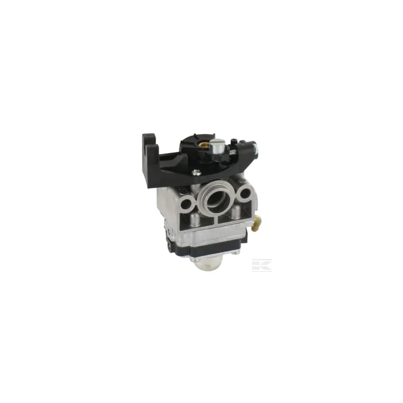 Ensemble carburateur, WYB19D