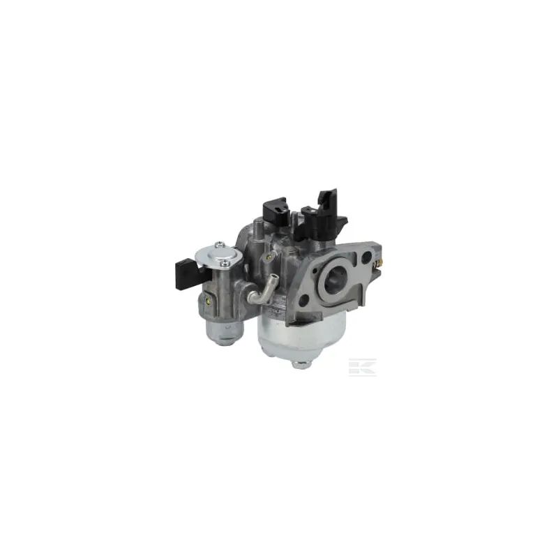 Ensemble du carburateur (BE01B G