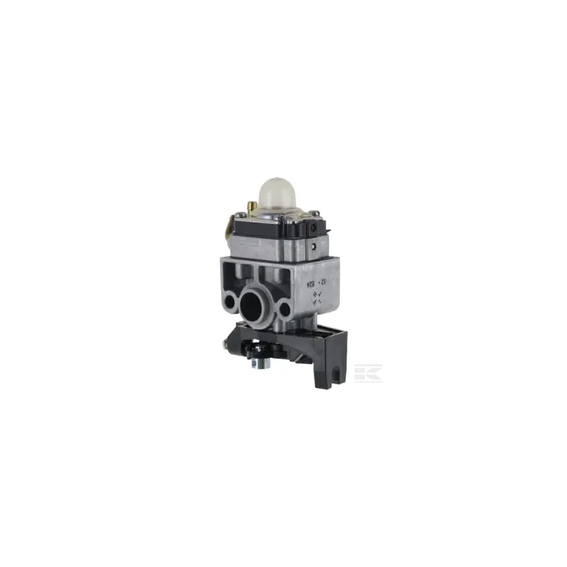 Ensemble carburateur (WYB 52)