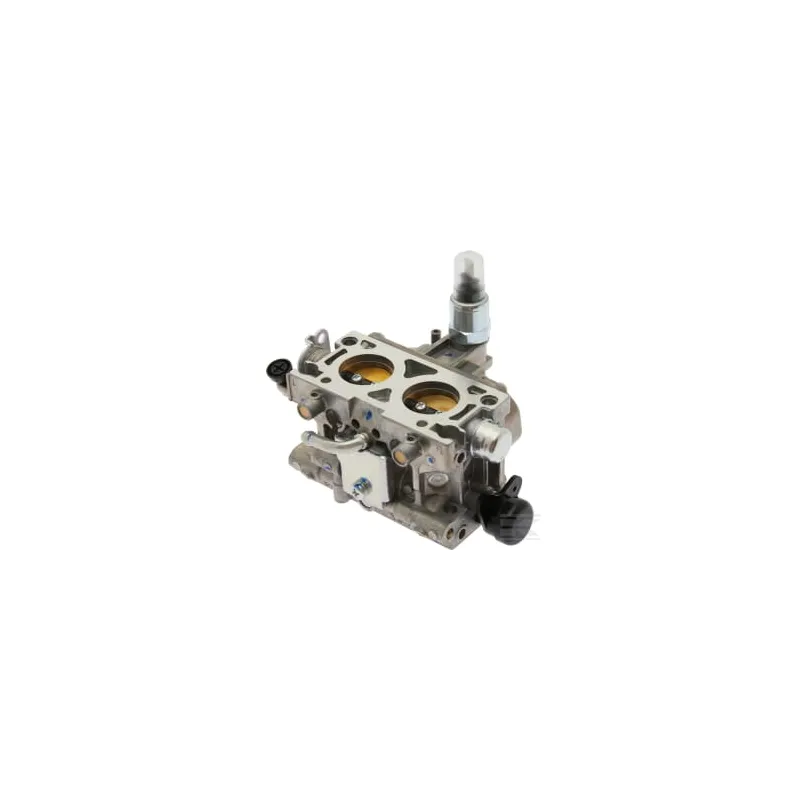 Ensemble carburateur (BK06H C)