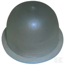 Poire d'amorçage